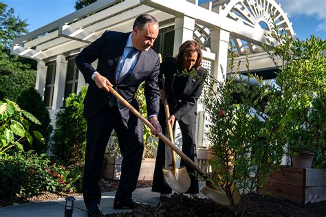 How Kamala Harris has given pant.
